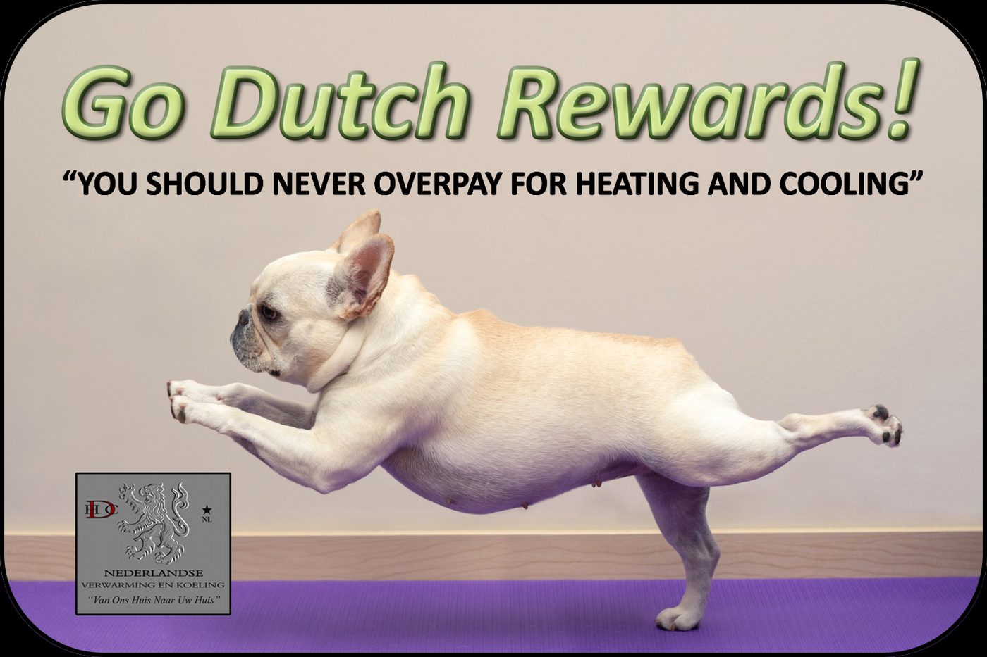 Go Dutch Rewards card — Yoga Dog design